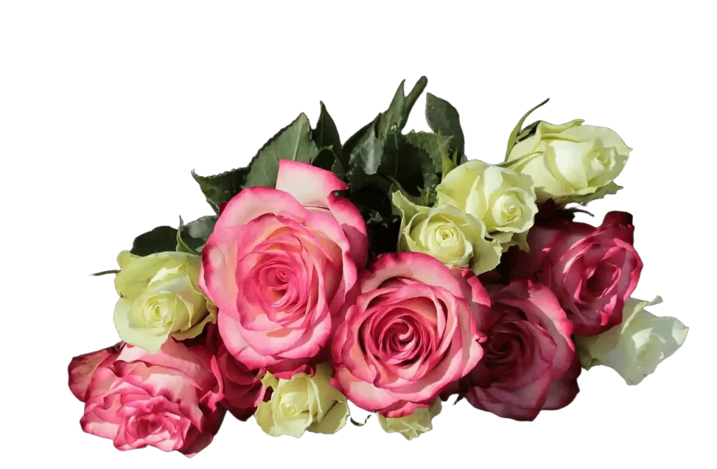 ikebana fehér és cirtos rózsákkal