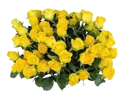 citromsárga rózsacsokor