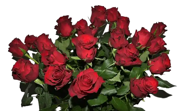 vörös rózsacsokor